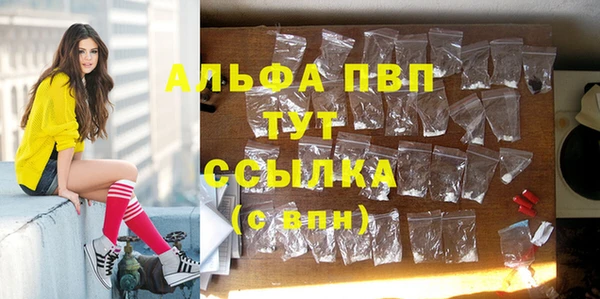 гидропоника Алзамай