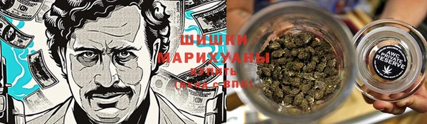 гидропоника Алзамай