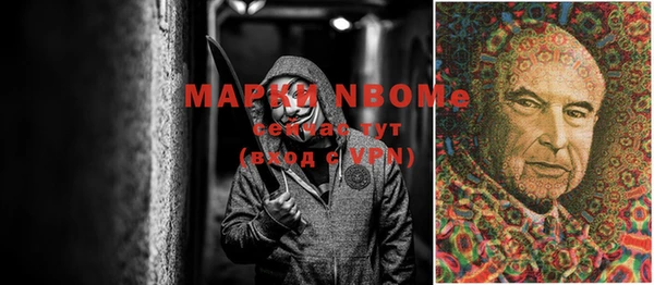 гидропоника Алзамай