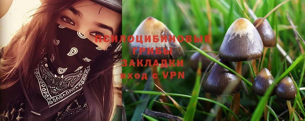 гидропоника Алзамай